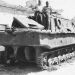 LWS stern Land Wasser Schlepper