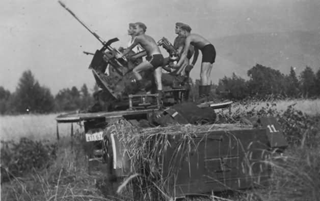 SdKfz 10/4 with flak 30
