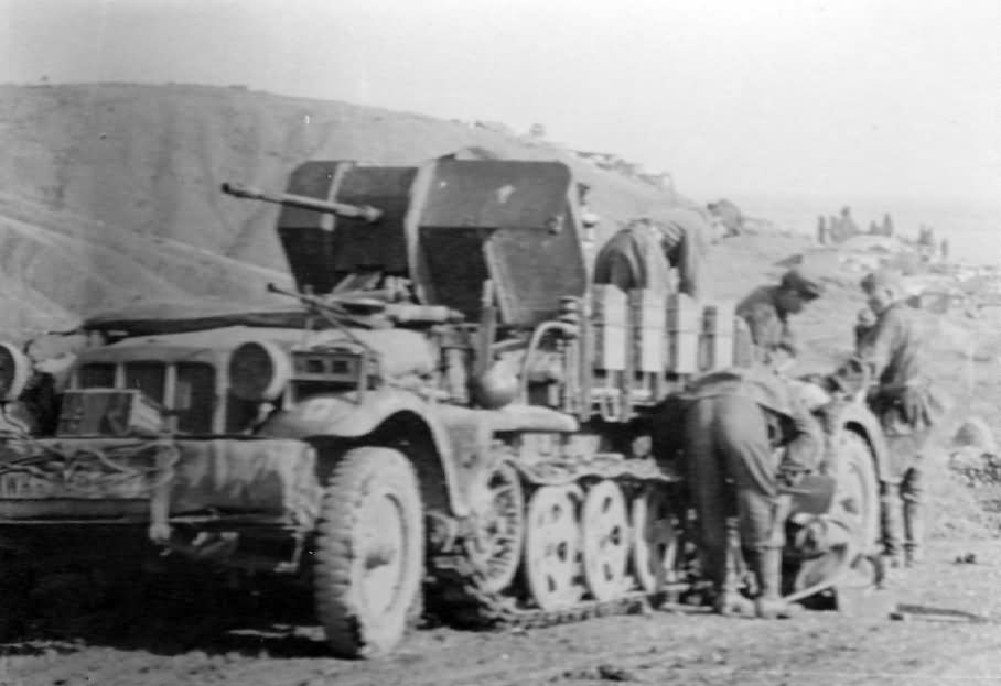 SdKfz 10/4 Demag D7 photo