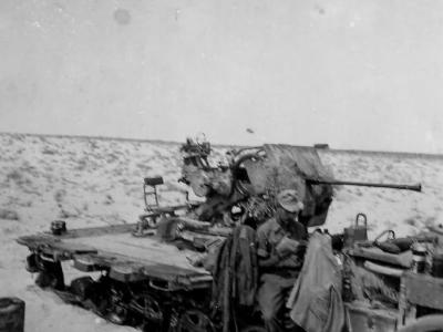 SdKfz 10/5 Afrika Korps DAK photo