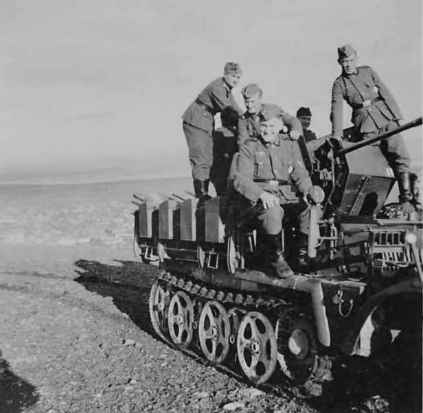 Sd Kfz 10 4 flak photo