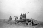 Sd.Kfz.10 in combat