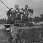 SdKfz 10/4 with flak 30