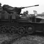 SdKfz 10 Demag D ll 3