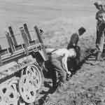 Sd Kfz 10 4 flak 30 halftrack