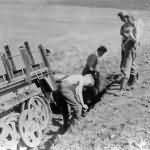 german halftrack SdKfz 10/4 16