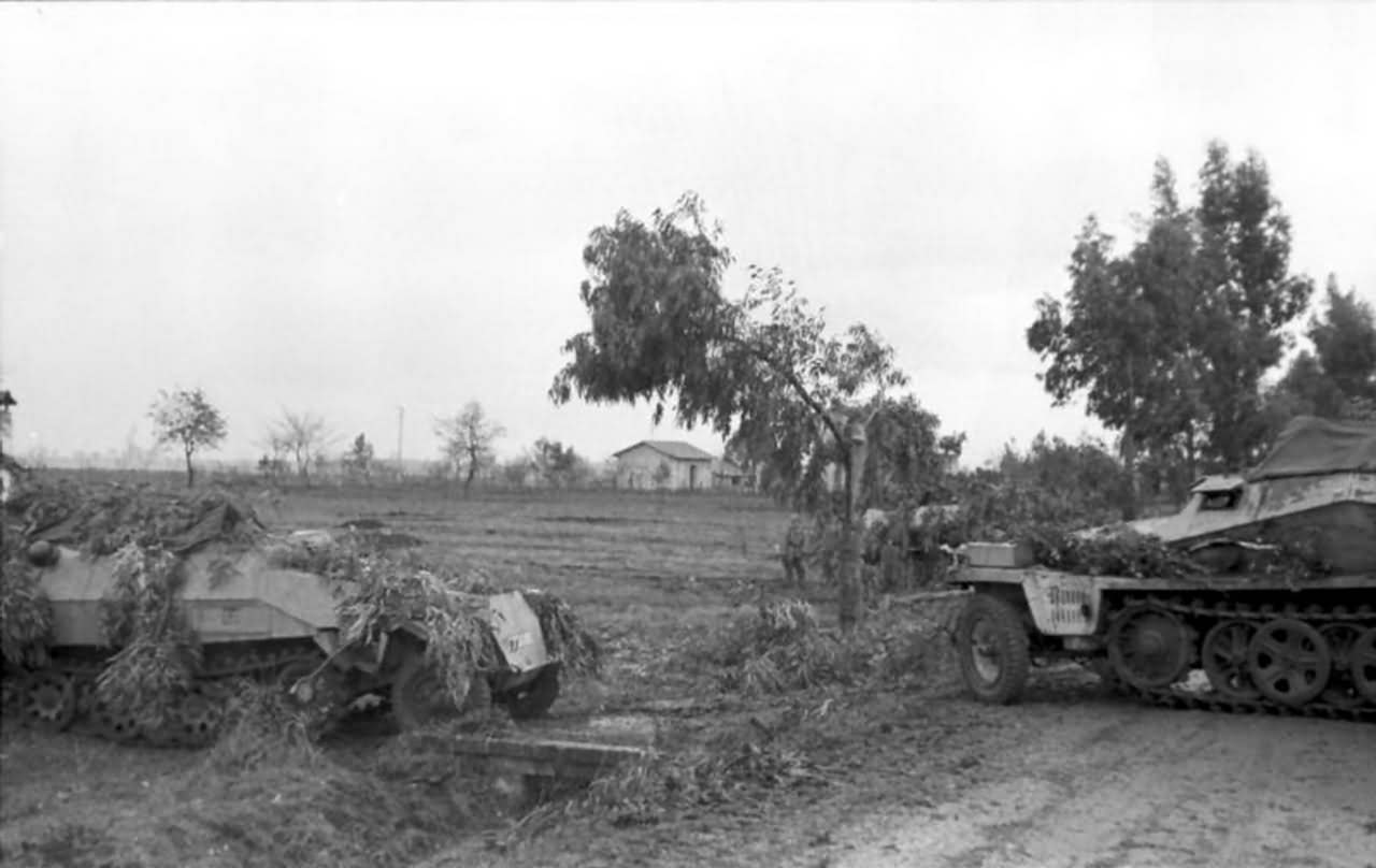 Camouflaged SdKfz 250 and SdKfz 251 Italy near Nettuno 1944
