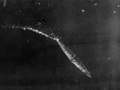 Tirpitz maneuvring in the Kieler Forde north-east of Strande
