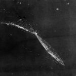 Tirpitz maneuvring in the Kieler Forde north-east of Strande