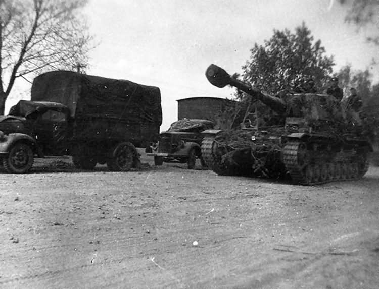 Dicker Max camouflage