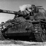Dicker Max captured near Stalingrad
