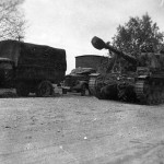 Dicker Max camouflage