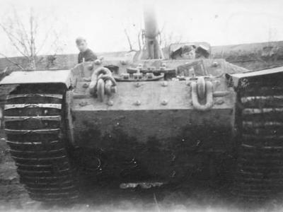 Panzerjager Tiger (P) Elefant with zimmerit of the Panzer Jg Abt. 653