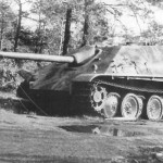 Jagdpanther 01 of the schwere Panzerjäger-Abteilung 559 1944