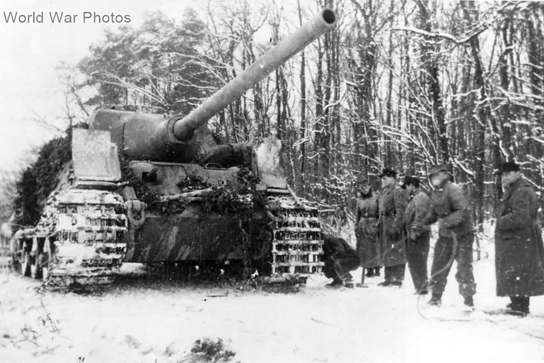 Jagdtiger 314 Hurtgenwald end 1944 | World War Photos