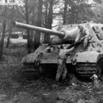 Jagdtiger of Schwere Panzerjäger-Abteilung 512