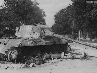 Konigstiger 195