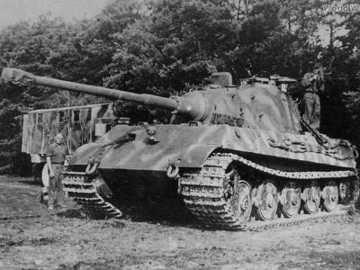 Konigstiger s503