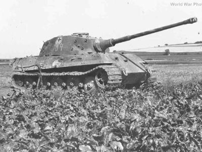 Konigstiger ss101 104