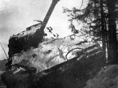 Tiger 2