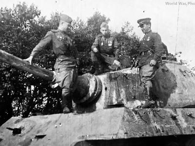 Tiger 2 503 FHH 1945