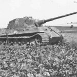 Konigstiger ss101 104