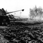tiger tank in poland 1944