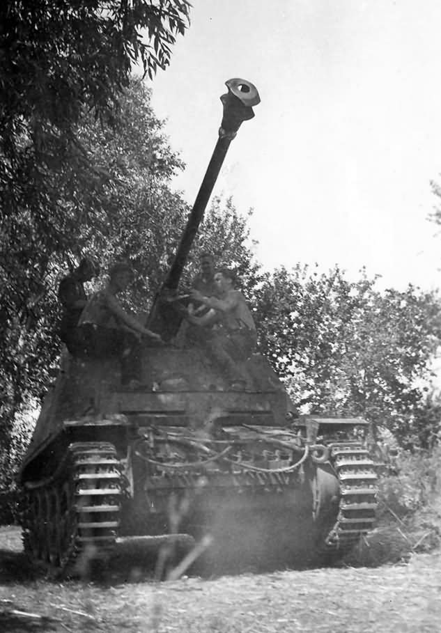 Panzerjager II fur 7,62cm PAK 36(r) Marder II D photo