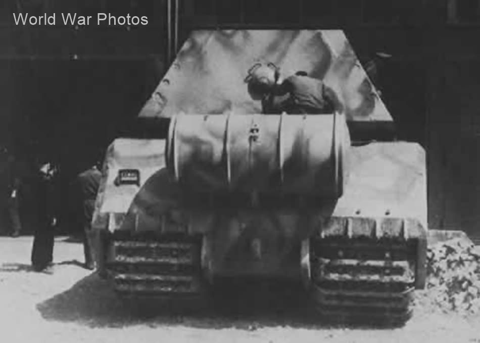 Maus rear view World War Photos