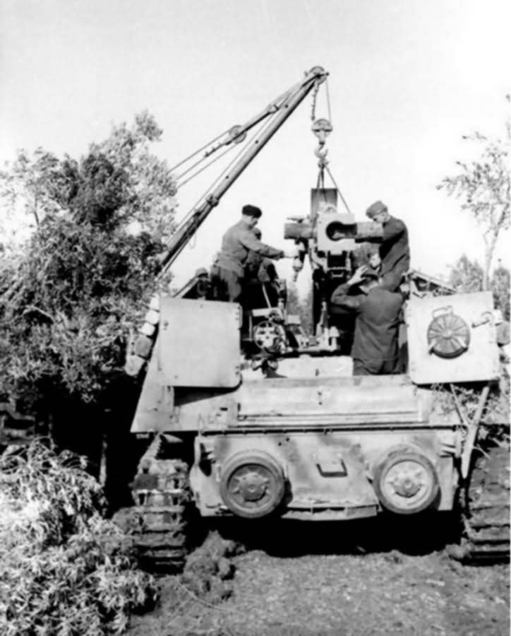 Nashorn of 525th Schwere Panzerjager Abteilung Italy 1944