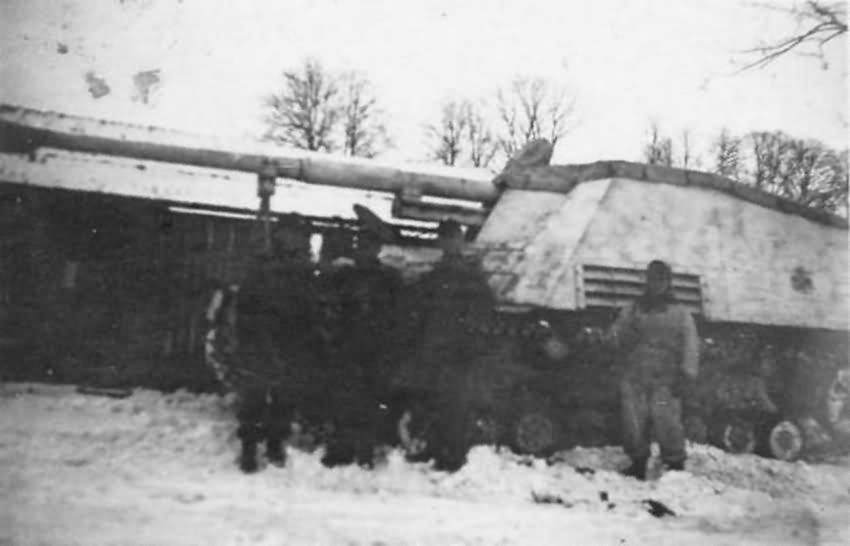 Nashorn winter camouflage