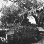 Nashorn of the schwere Panzerjäger-Abteilung 525 Italy 1944 2