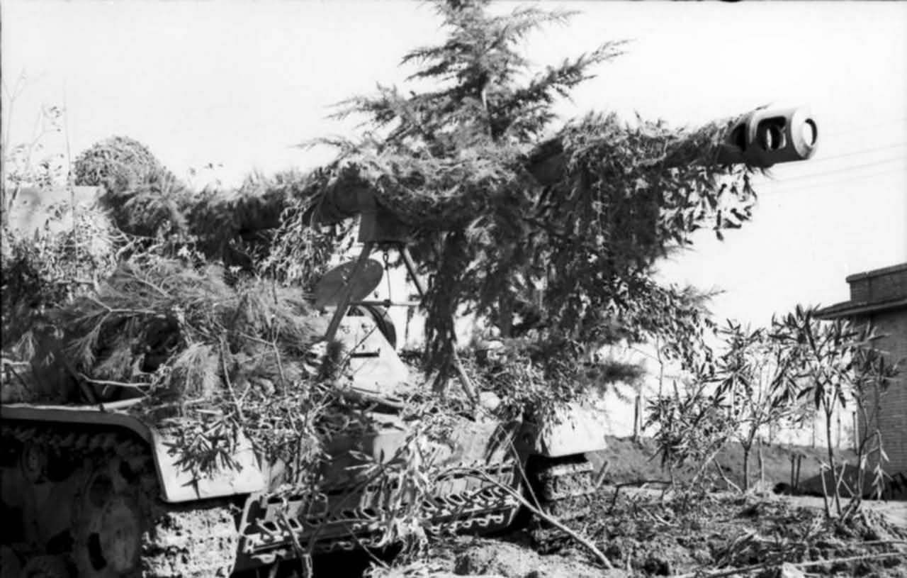 camouflaged Panzerjager Nashorn Hornisse of 525th Schwere Panzerjager Abteilung Nettuno Italy 2