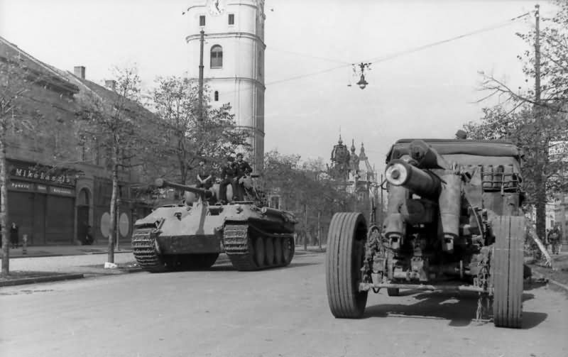 Hungary Panzer V Panther