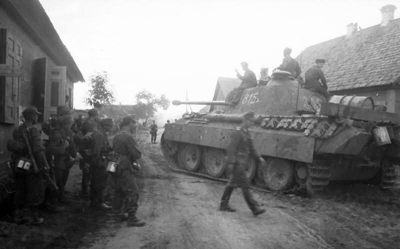 Panther tank number 815
