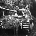 Panther tank camouflage