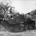 Panther tank in France 1944