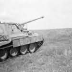 Panther Ausf D number 435 of the 51st Panzer Battalion Kursk