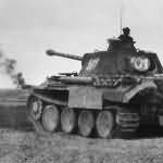 Panther tank number 501 of 5th SS Panzer Division Wiking