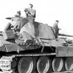 Panther tank number 631