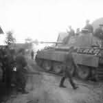 Panther tank number 815