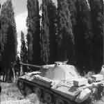Panzerkampfwagen V Panther Italy