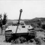 pzkpfw Panther 2