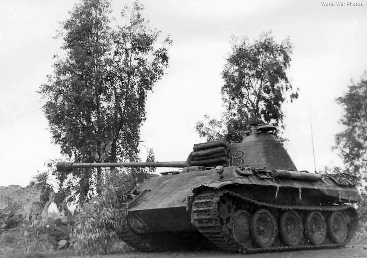 Panther 13