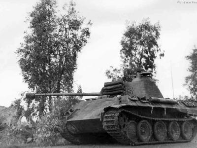 Panther 13