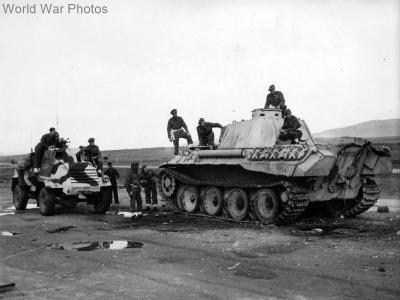 Panther Ausf D Italy 1943