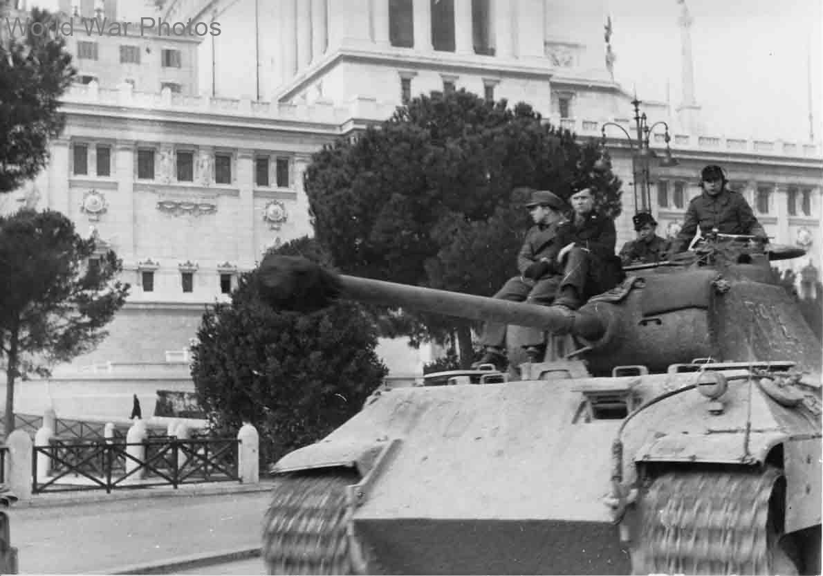 Panther I14 Rome 1944