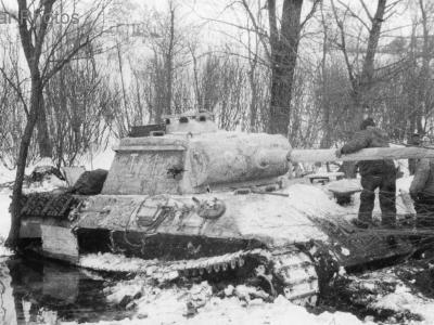 Whitewashed Panther I1
