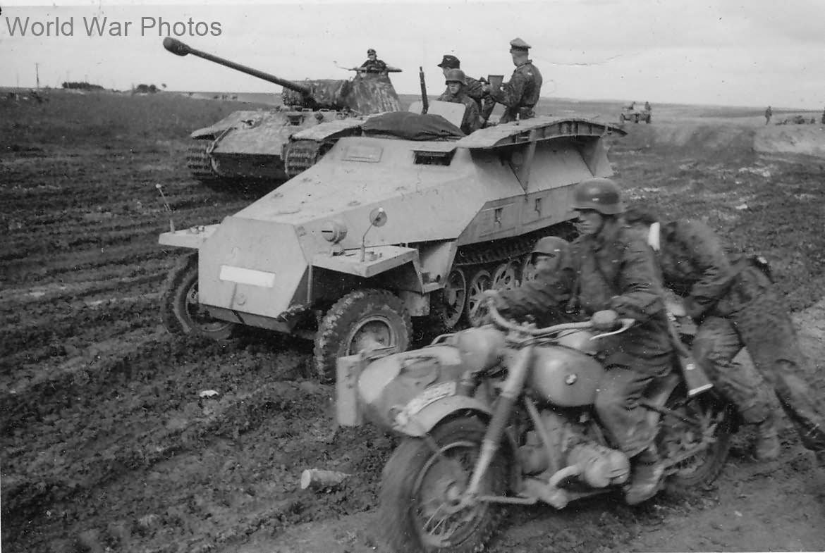 Panther Ausf A and SdKfz 251/7 of the 5th SS Panzer Division Wiking World War Photos