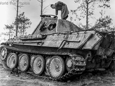 Panther Ausf G in Overloon, Holland